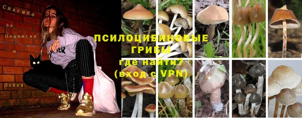 бошки Алзамай