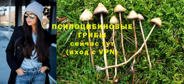 mix Алексеевка