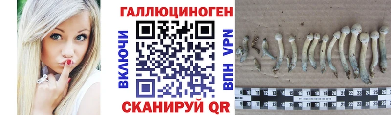 Псилоцибиновые грибы мухоморы  наркотики  Шумиха 